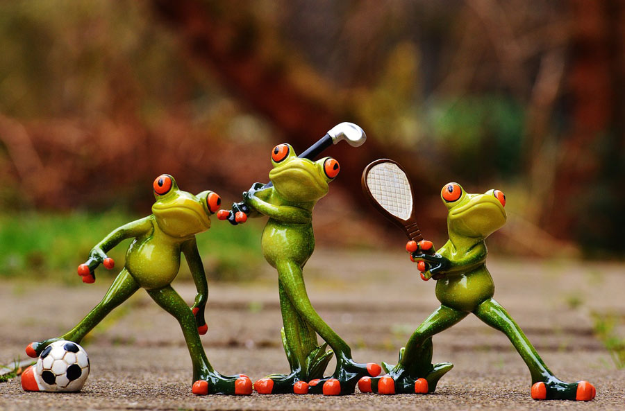 frog-sports