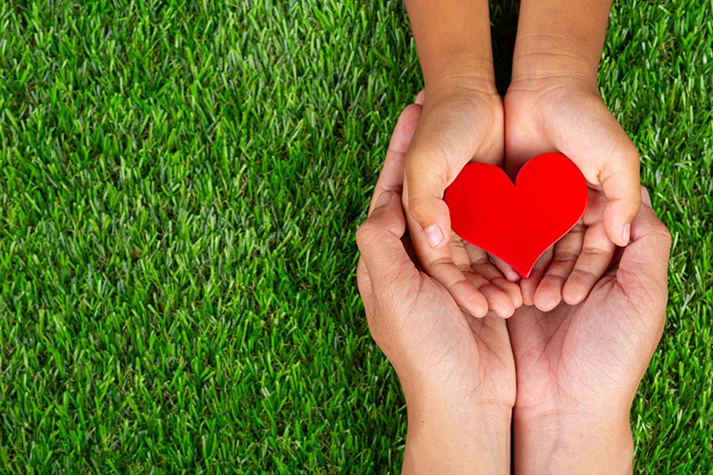 red-heart-shape-family-member-s-hands-holding red-heart-shape-family-member-s-hands-holding
